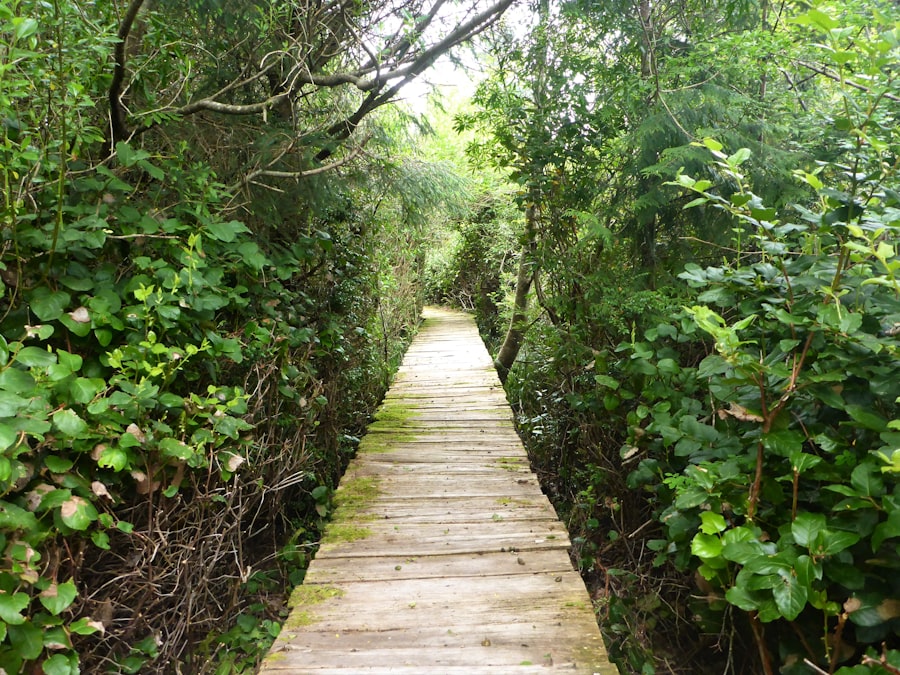 Nature walk