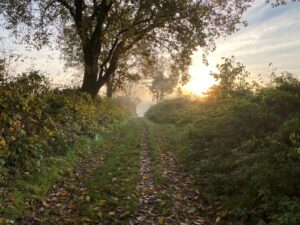 The Benefits of Slow Travel: Budget and Health