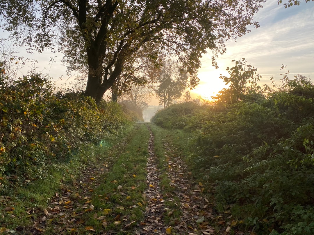 Photo Nature walk
