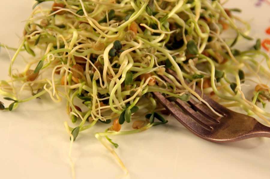 Photo Quinoa salad