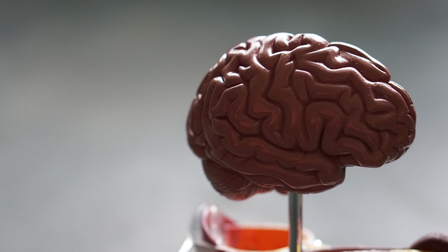 Photo Brain-gut axis